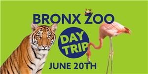 Bronx Zoo 26