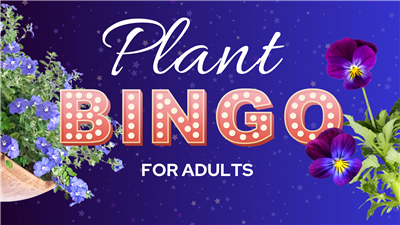 Plant bingo
